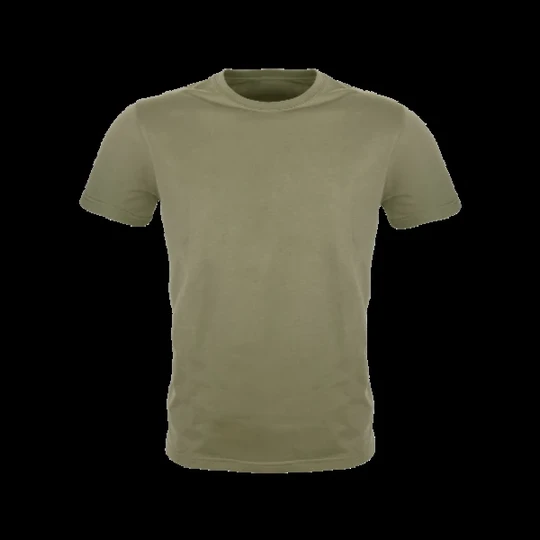 el_img1