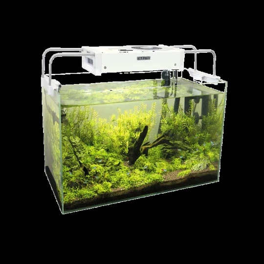 Aquarium image 3