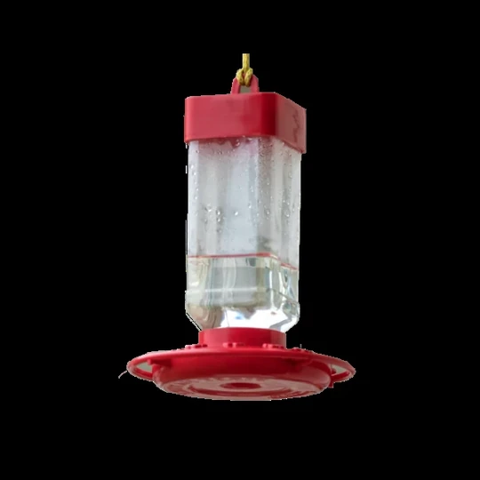 Bird Feeder image 3