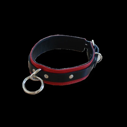 Collar image 3