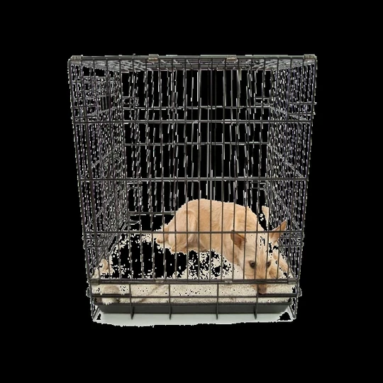 Pet Cage image 3