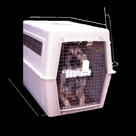Pet Crate image 3
